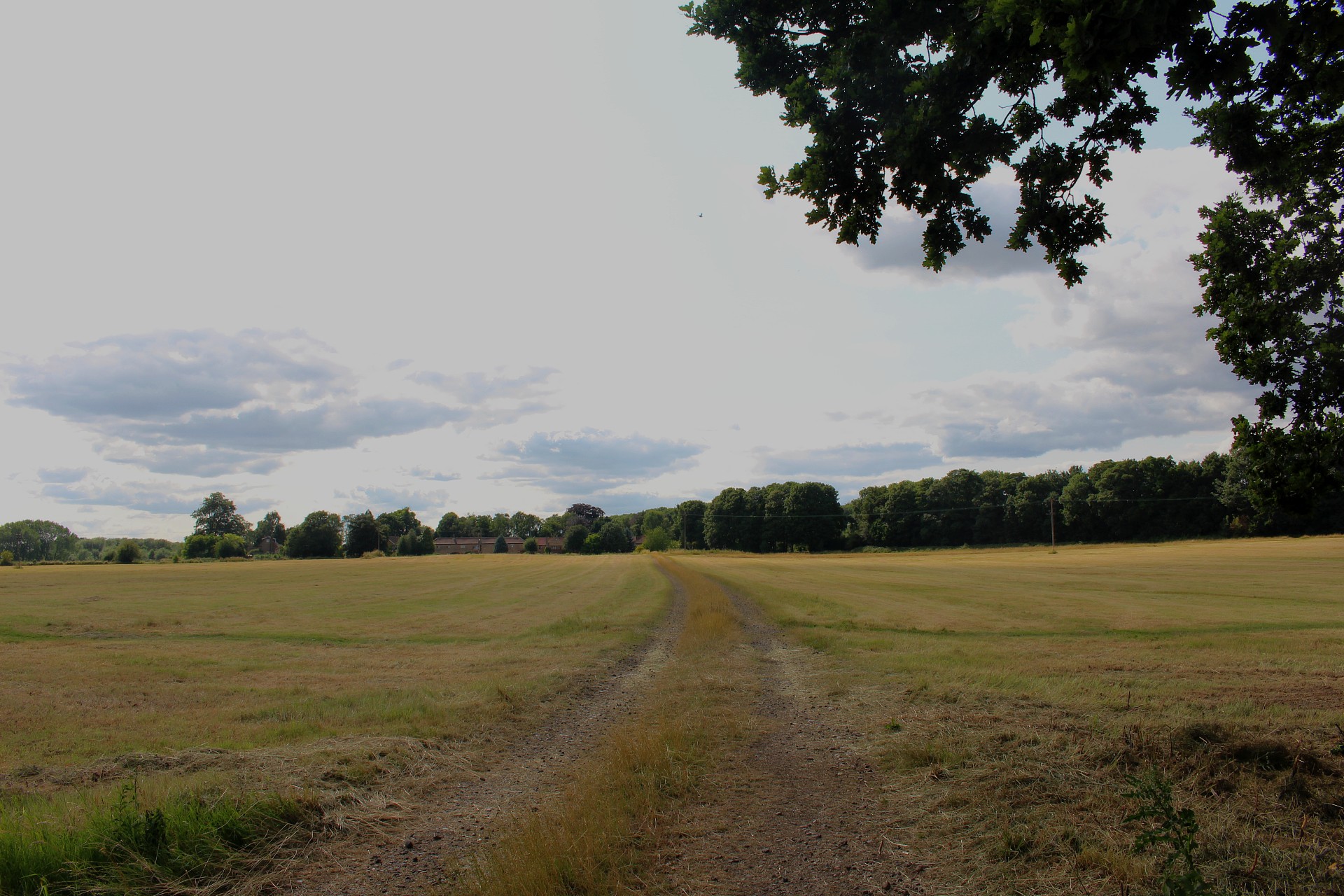 Carlton in Lindrick